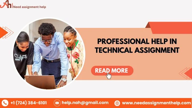 Professional Help in Technical Assignment